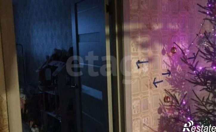 3-комн квартира Петрозаводская улица, 29,  д. 29