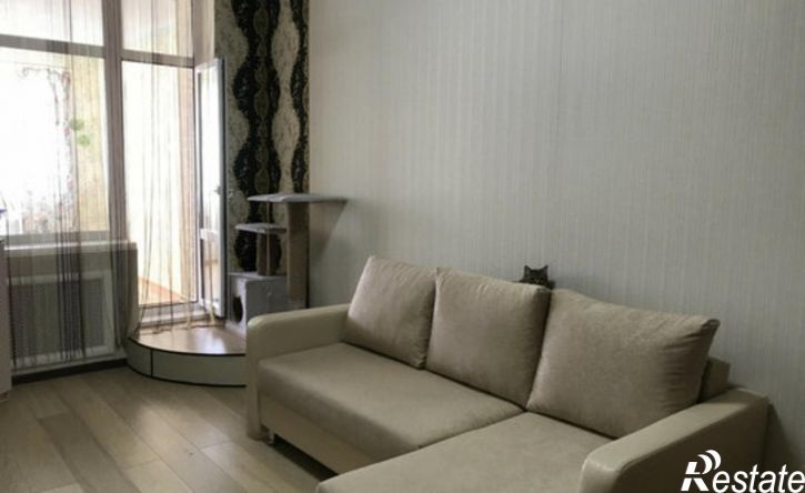 1-комн квартира ул Петрозаводская, 27/2,  д. 27/2