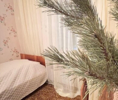 5-комн, 96кв м, этаж 5/6 Тентюковская улица, 113