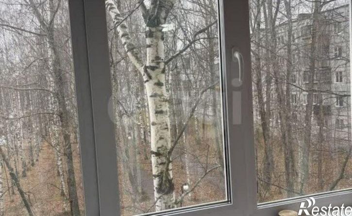 1-комн квартира пр-кт Бумажников, 41/12,  д. 41/12